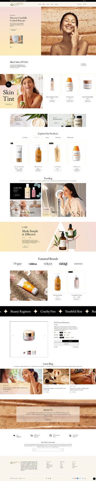 website preview
